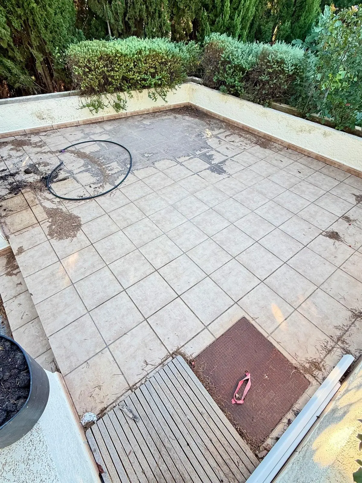 Terraza de gres con manchas oscuras, tierra y agujas de pino en las juntas