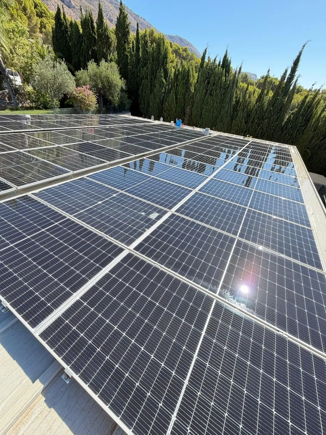 Placas solares limpias que reflejan el cielo y los cipreses